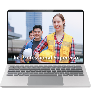 The Professional Supervisor online course